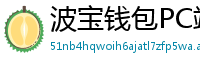 波宝钱包PC端下载